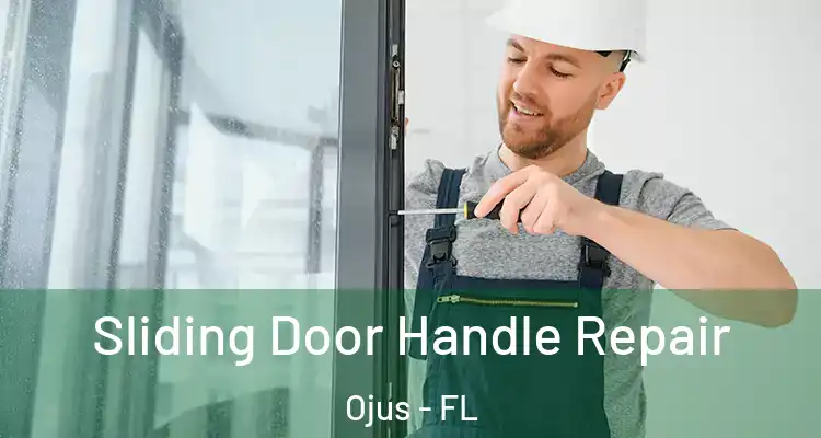 Sliding Door Handle Repair Ojus - FL