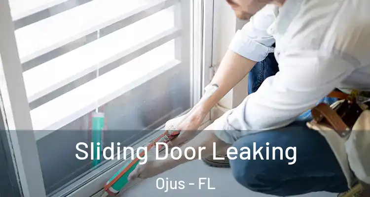 Sliding Door Leaking Ojus - FL