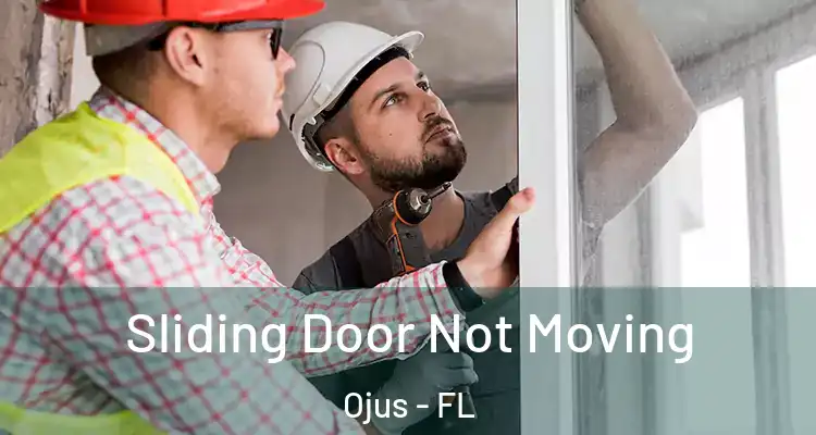 Sliding Door Not Moving Ojus - FL