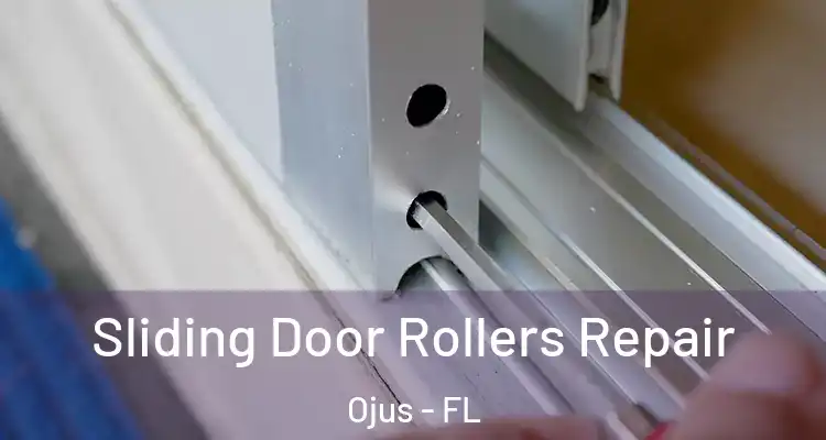 Sliding Door Rollers Repair Ojus - FL