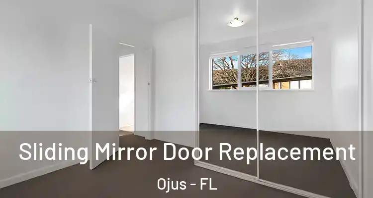 Sliding Mirror Door Replacement Ojus - FL