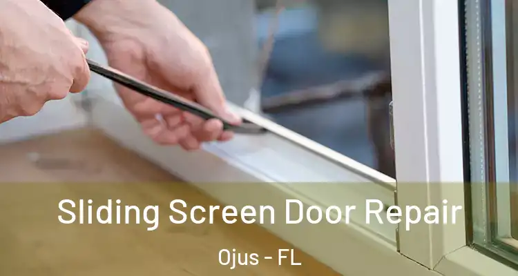 Sliding Screen Door Repair Ojus - FL