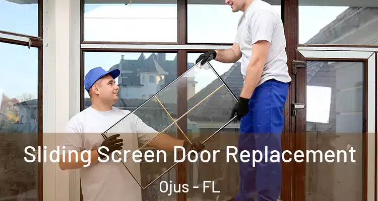 Sliding Screen Door Replacement Ojus - FL