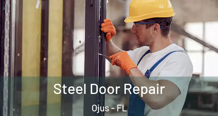 Steel Door Repair Ojus - FL