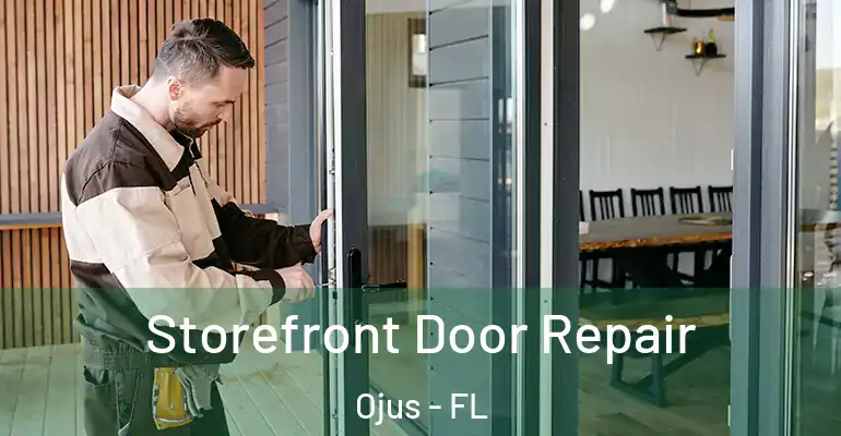 Storefront Door Repair Ojus - FL