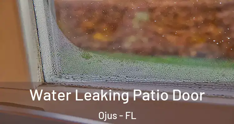 Water Leaking Patio Door Ojus - FL
