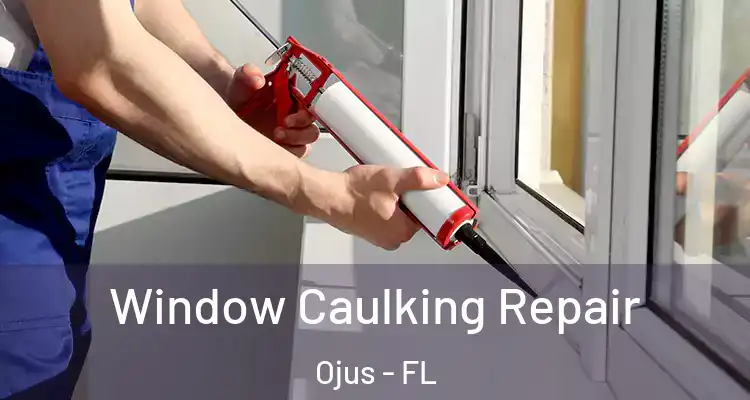 Window Caulking Repair Ojus - FL