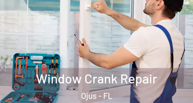 Window Crank Repair Ojus - FL