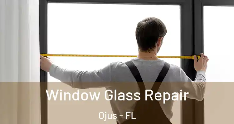 Window Glass Repair Ojus - FL