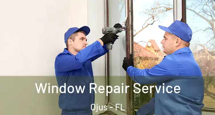 Window Repair Service Ojus - FL