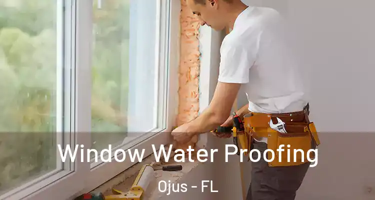 Window Water Proofing Ojus - FL