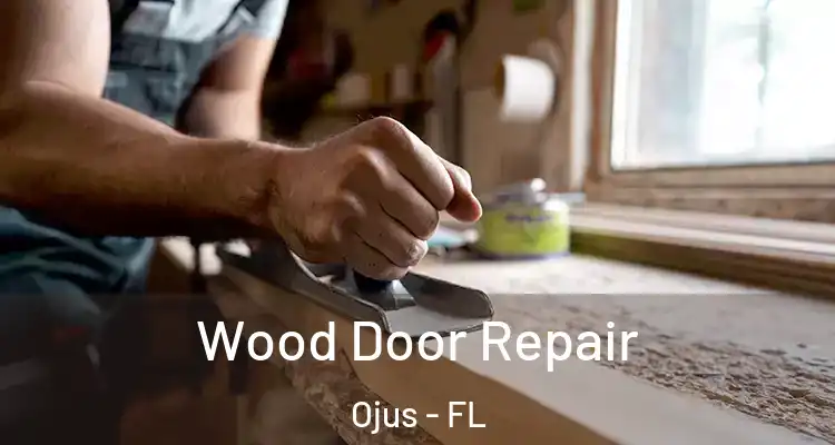Wood Door Repair Ojus - FL